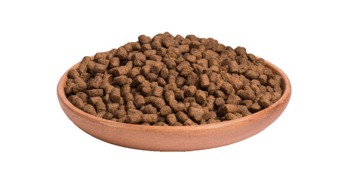 Hrana uscata pentru pisici Wellness Core Kitten Dry cu curcan si pui 300g